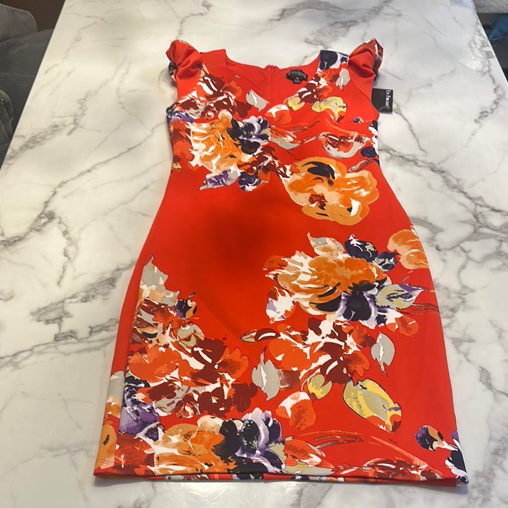 Enfocus Studio Red Floral Dress